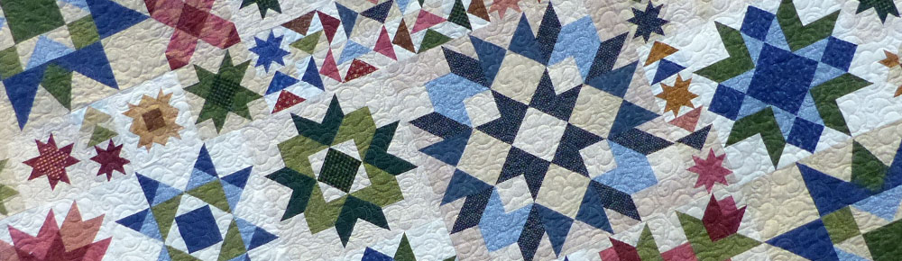 A Quilt by a VSSQ Member Quilt by VSSQ Member