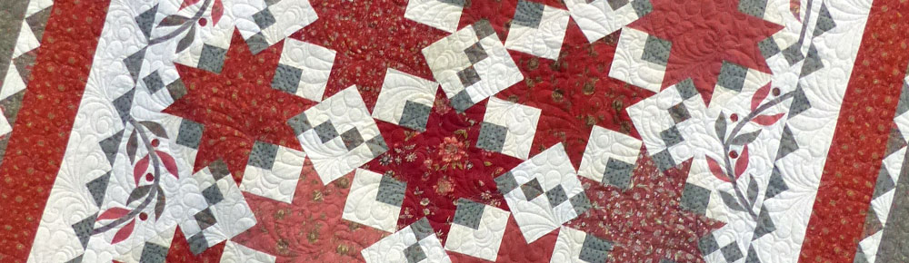 A Quilt by a VSSQ Member Quilt by VSSQ Member