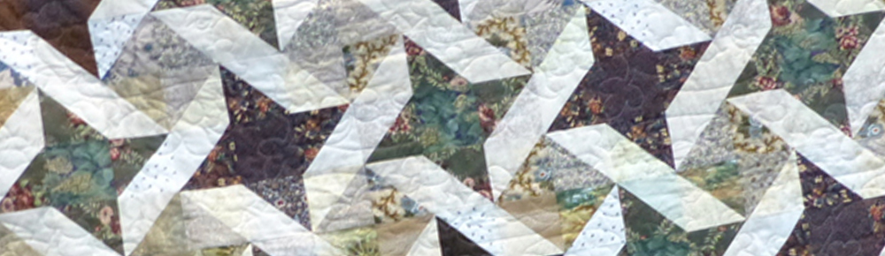 Quilt by VSSQ Member
