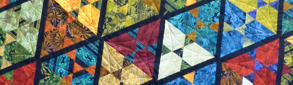 Quilt by VSSQ Member